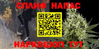 крисы Аргун