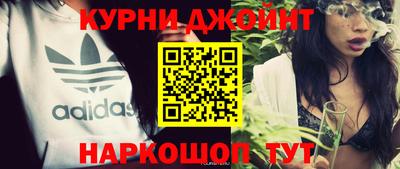 крисы Аргун