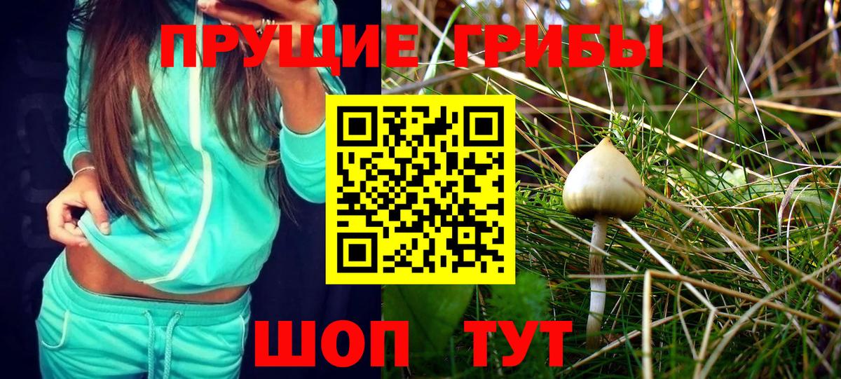 Батайск  Галлюциногенные грибы Magic Shrooms  Псилоцибиновые грибы ЛСД  Вход с VPN 